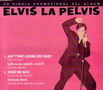 epelvis.jpg
