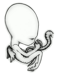 foetus-smaller.gif